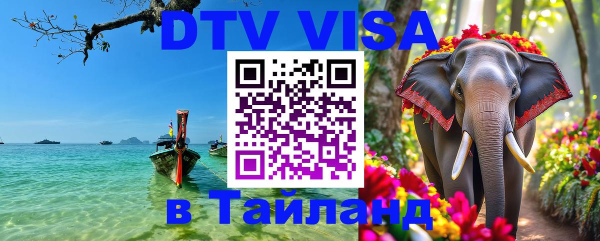 Сколько стоит DTV виза — актуальные цены, оформление даже без документов - Златоуст  08.12.2025 